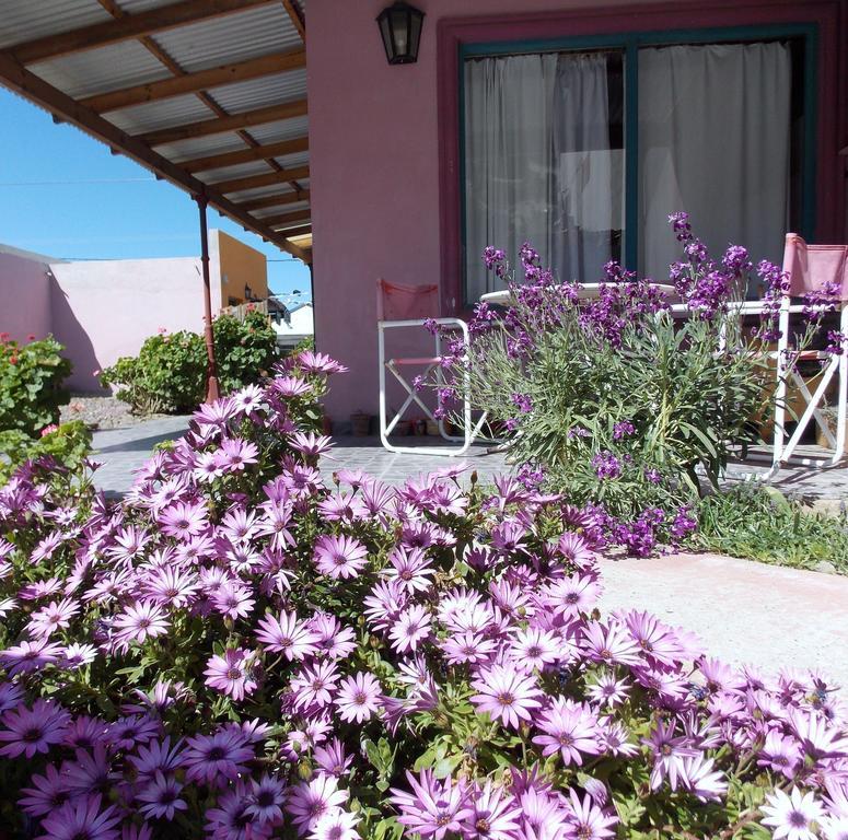 Posada Caracoles ปูแอร์โตปีรามีเดส ภายนอก รูปภาพ