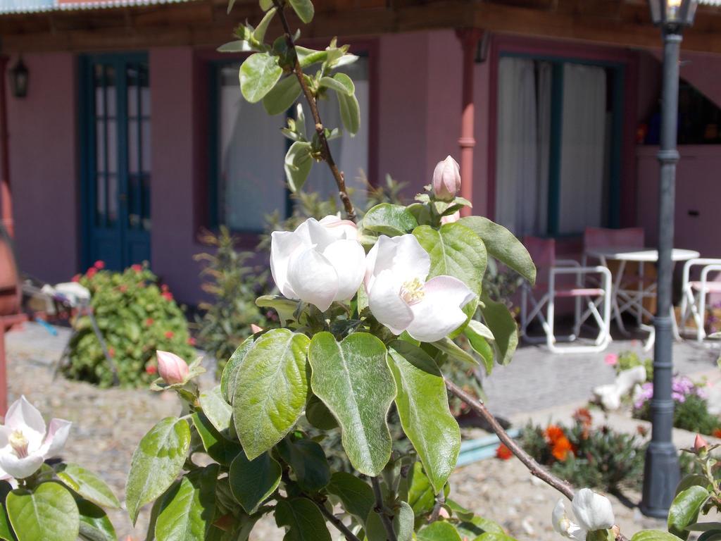 Posada Caracoles ปูแอร์โตปีรามีเดส ภายนอก รูปภาพ